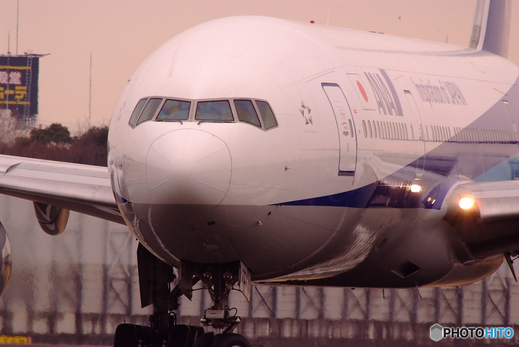 春色に誘われてⅢ・JA704A