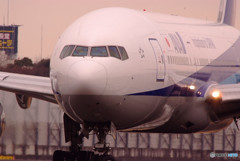 春色に誘われてⅢ・JA704A