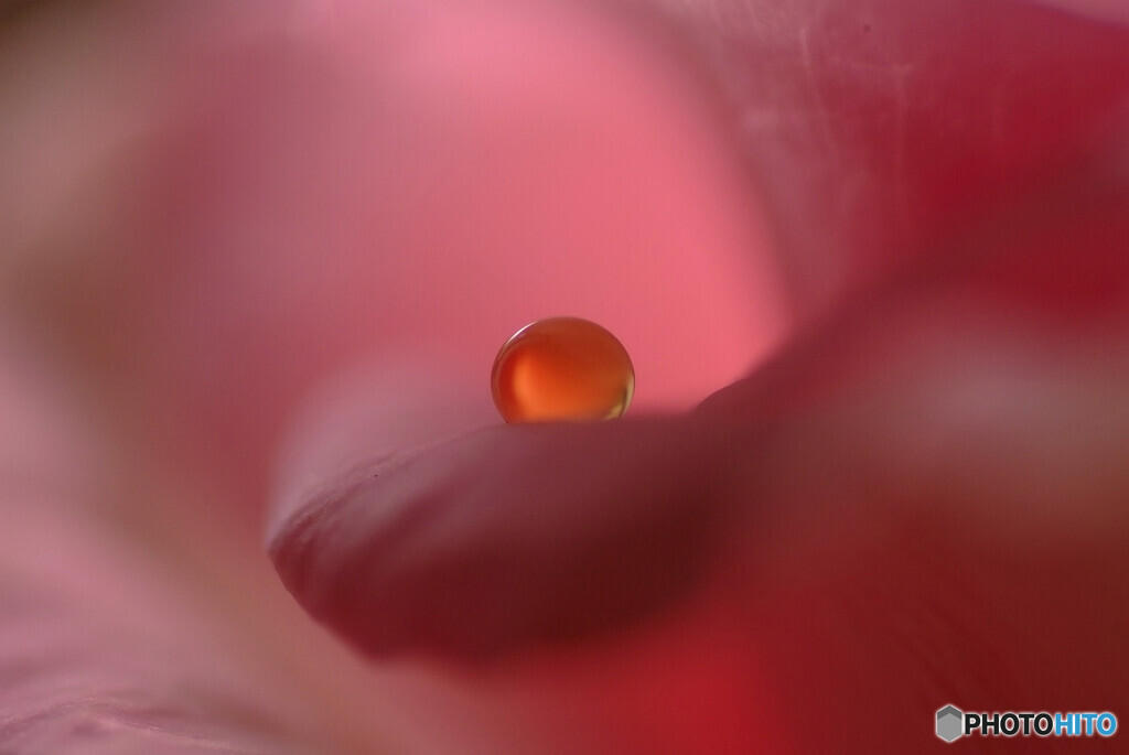 琥珀の想い・雫