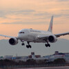 未来への翼♪Boeing787-8