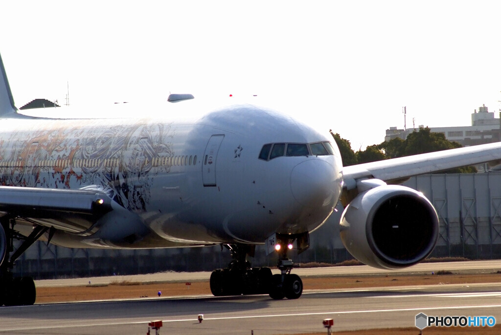 花見月の出会い✈Boeing777-200