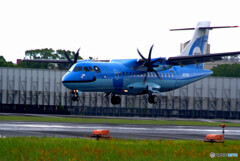 いらっしゃい☂Amakusa Airlines 