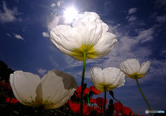 最後の晩餐・2018