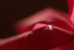 君の瞳に恋して✿雫