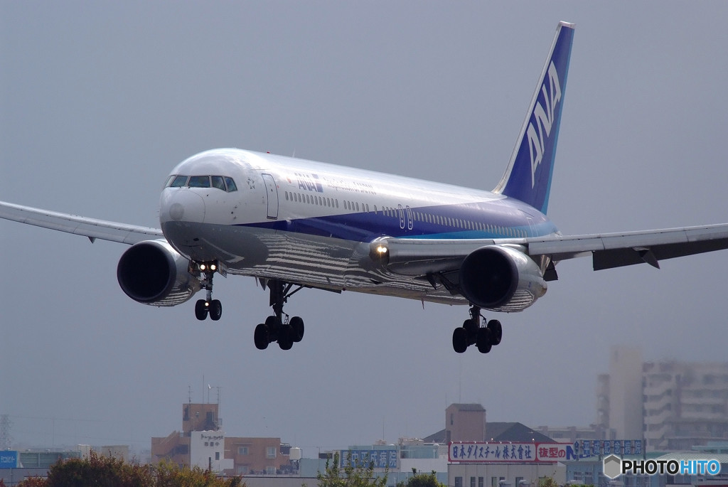 Gift from south・767