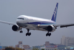 Gift from south・767