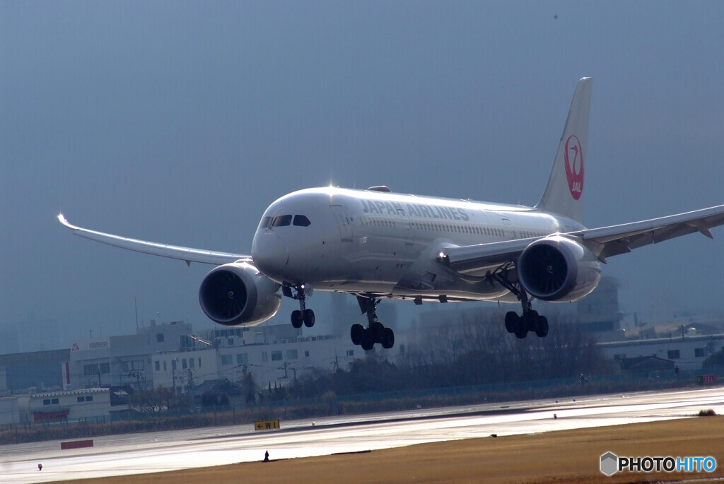 2月の誘惑✈JAL Dreamliner