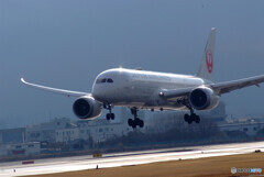 2月の誘惑✈JAL Dreamliner