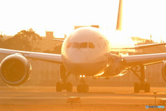 Light My Fire・787