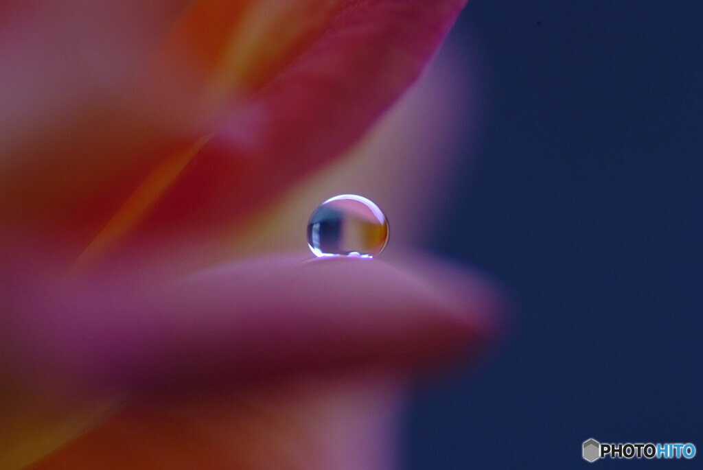 Holiday Fun✿瞳の朝