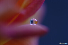 Holiday Fun✿瞳の朝