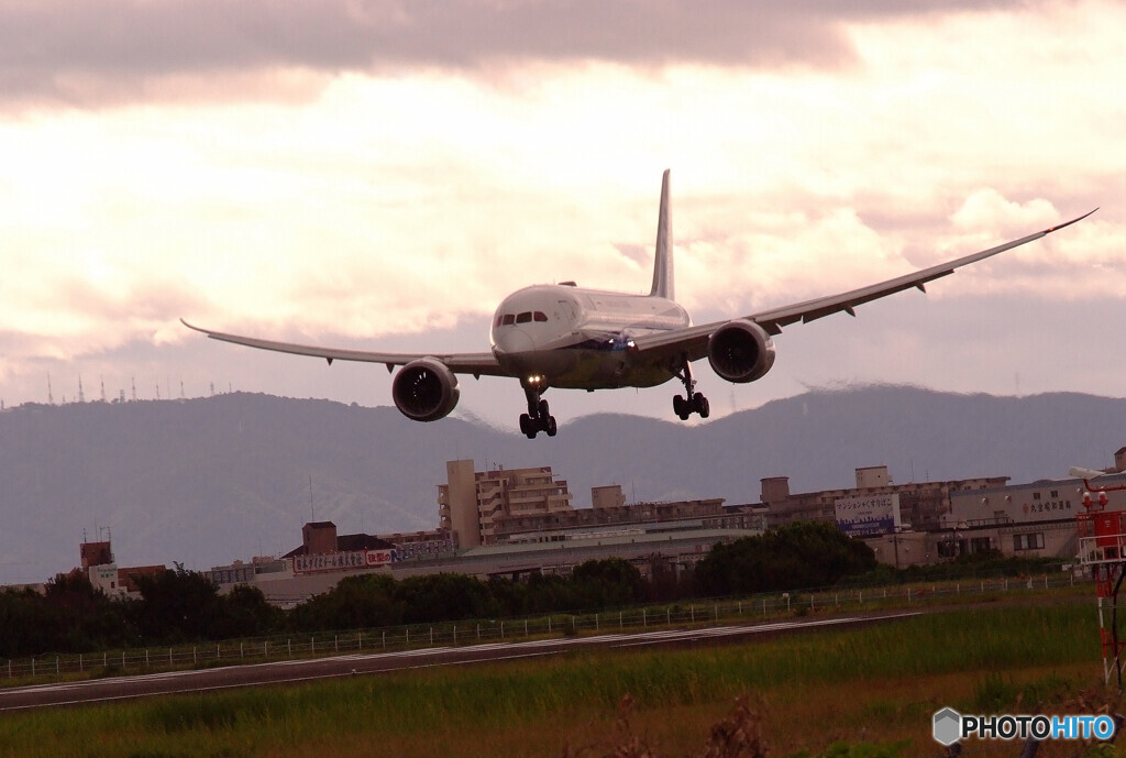 Delusional TripⅧ✈8月の翼