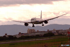 Delusional TripⅧ✈8月の翼