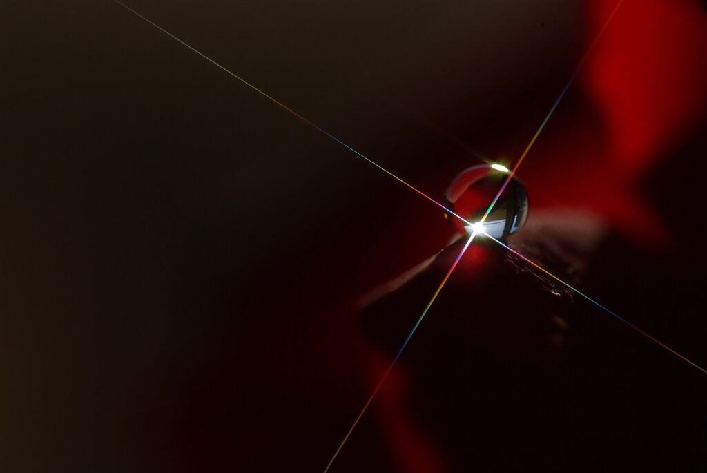 雫遊び✿睦月の朝