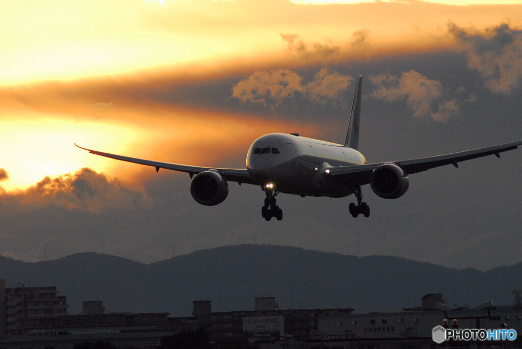 Gift of December✈Dreamliner