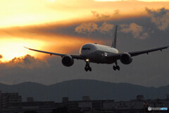 Gift of December✈Dreamliner