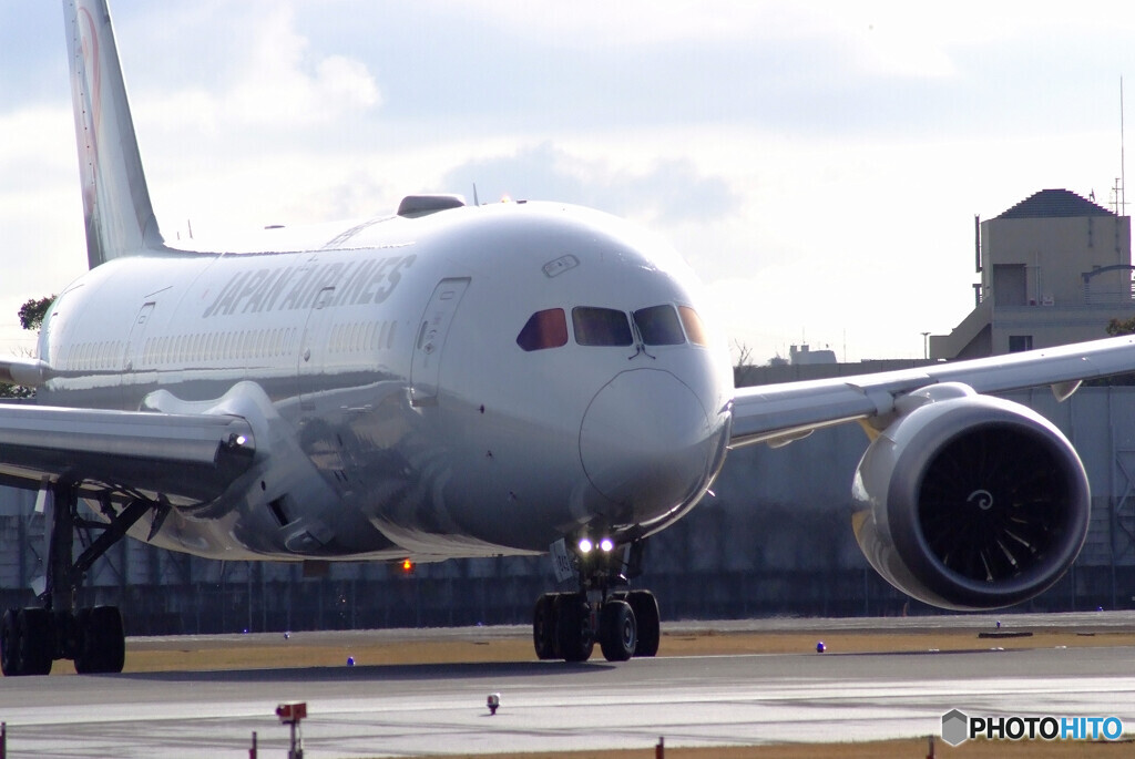 旅立ちの朝★JAL Dreamliner