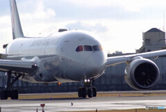 旅立ちの朝★JAL Dreamliner