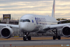 妄想の旅へGO!✈A350-900