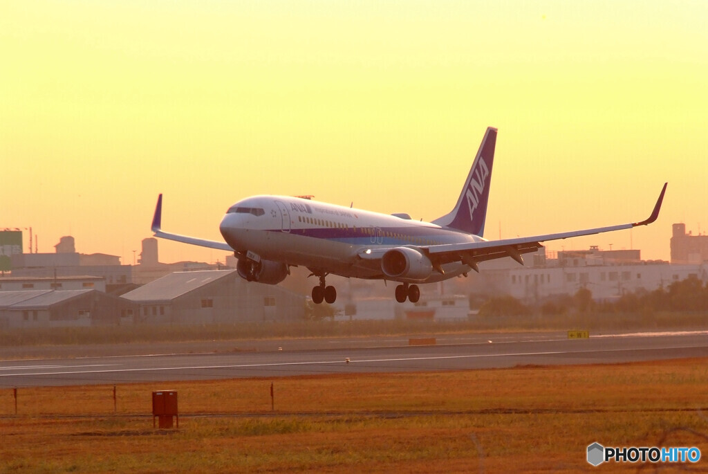 朝焼けに舞う✈Boeing738