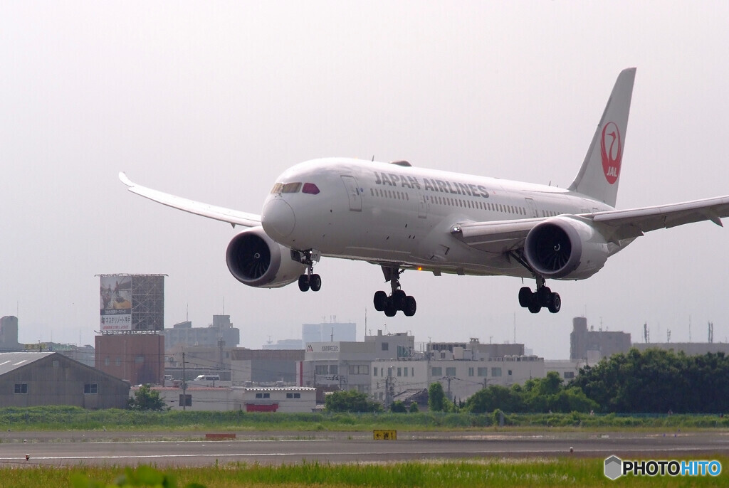 水無月の朝✈HARADA