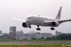 水無月の朝✈HARADA