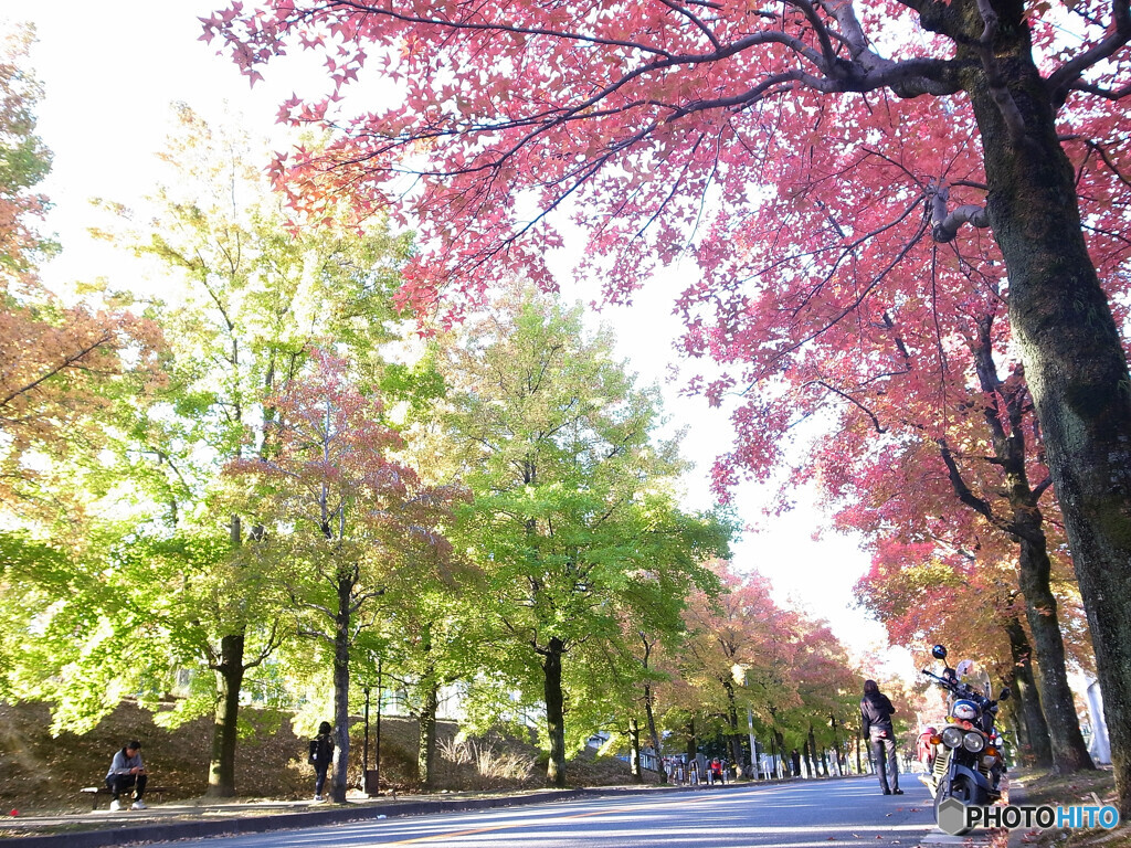 令和・三色彩道にて
