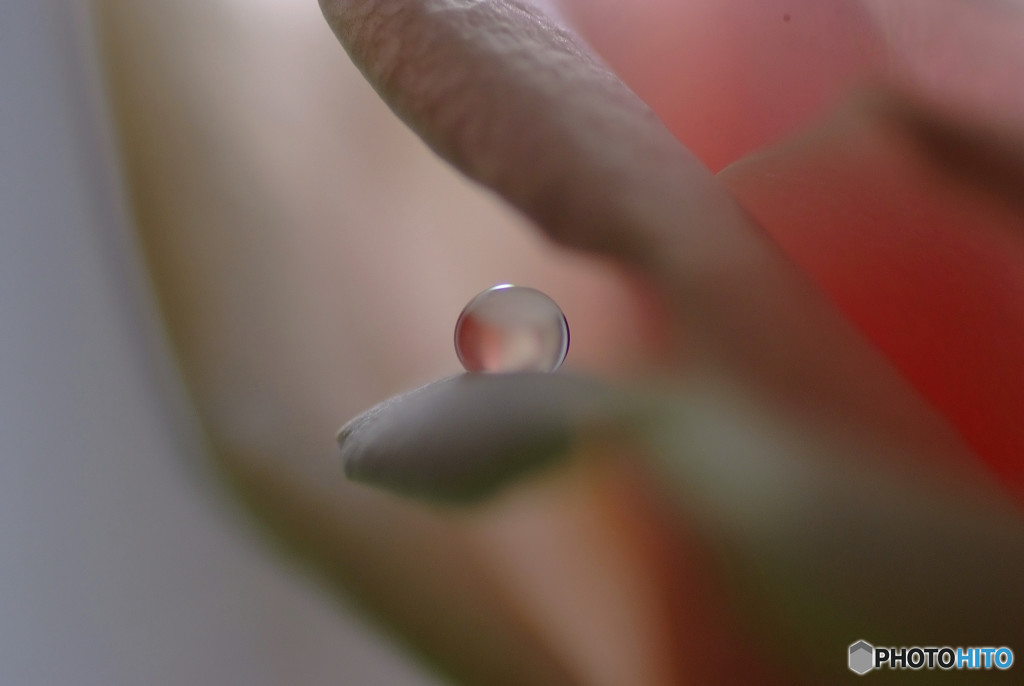 恋する惑星・秋