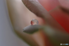 恋する惑星・秋