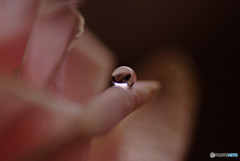 恋する惑星Ⅴ・秋