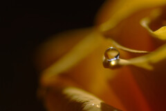 Good Holiday✿雫遊び