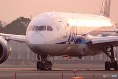 Eternal paradise・787