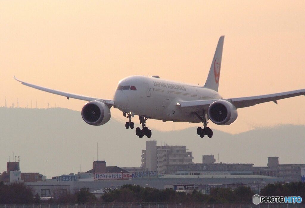 Morning LoverⅡ✈Boeing 787-8