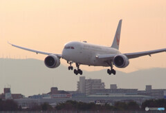 Morning LoverⅡ✈Boeing 787-8