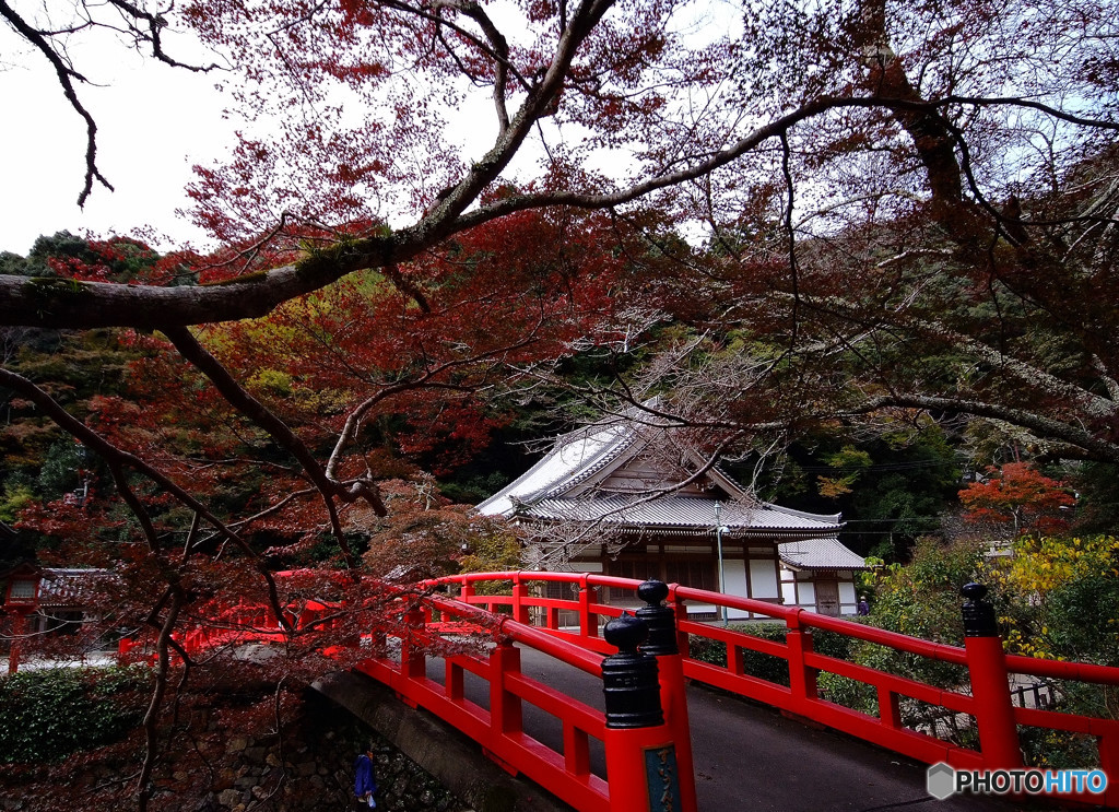 色づく・箕面へ