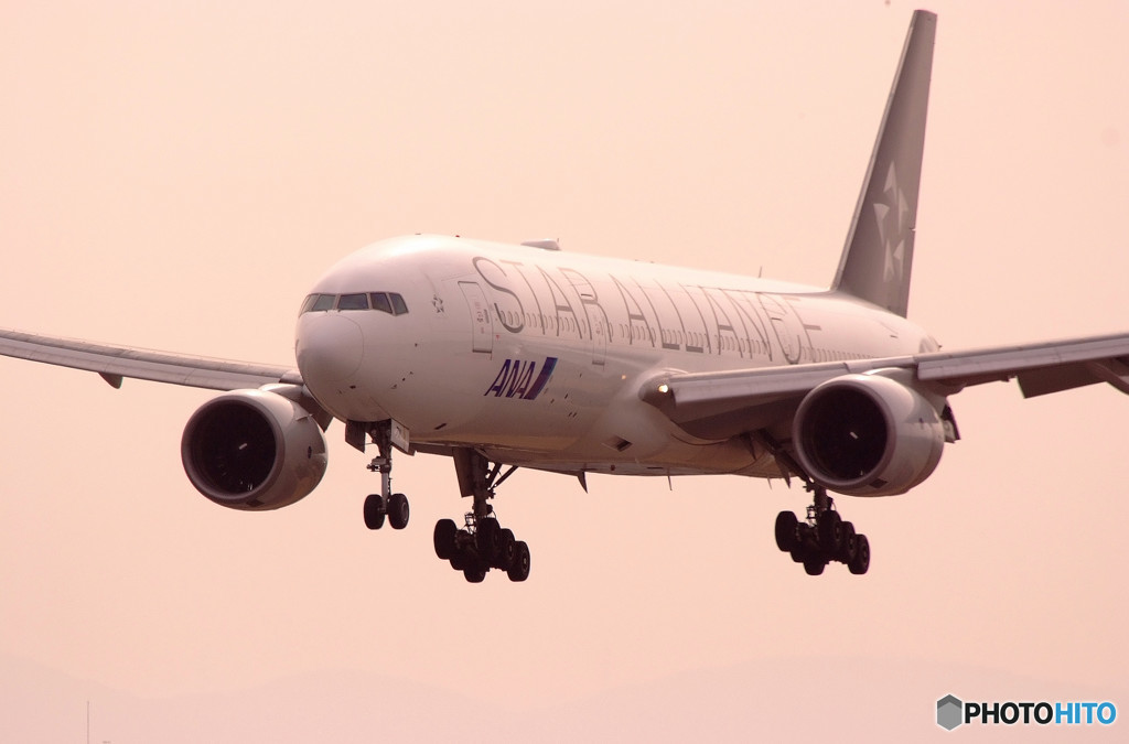 Gift of Spring・JA711A