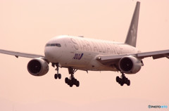 Gift of Spring・JA711A