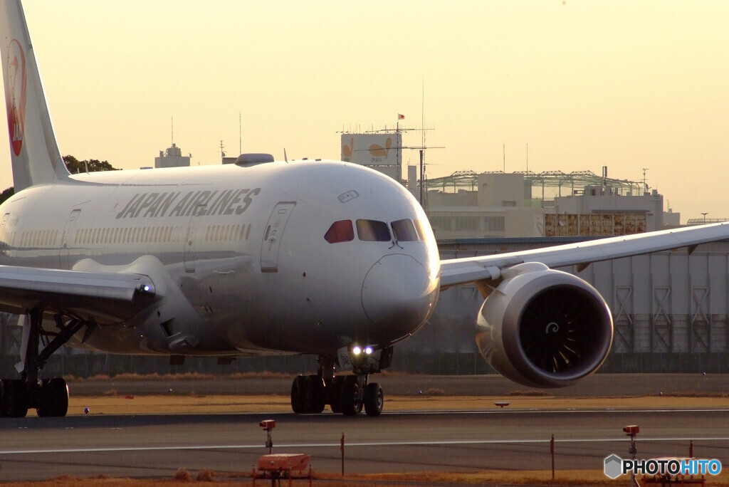 January beautyⅢ✈JAL 787