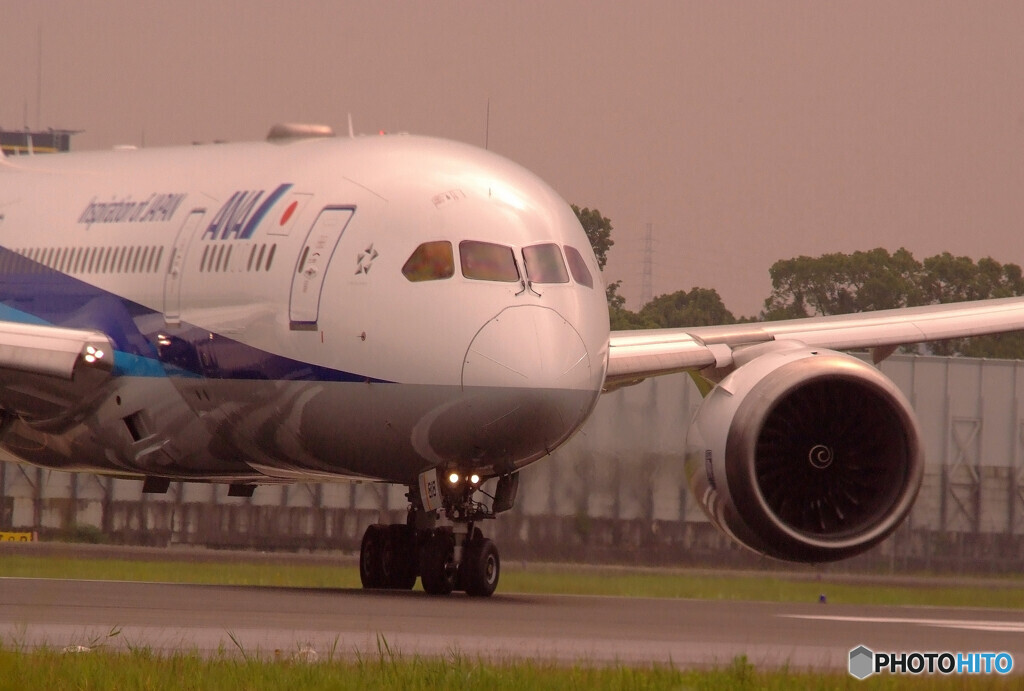 癒しの時間✈2020夏