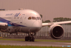 癒しの時間✈2020夏