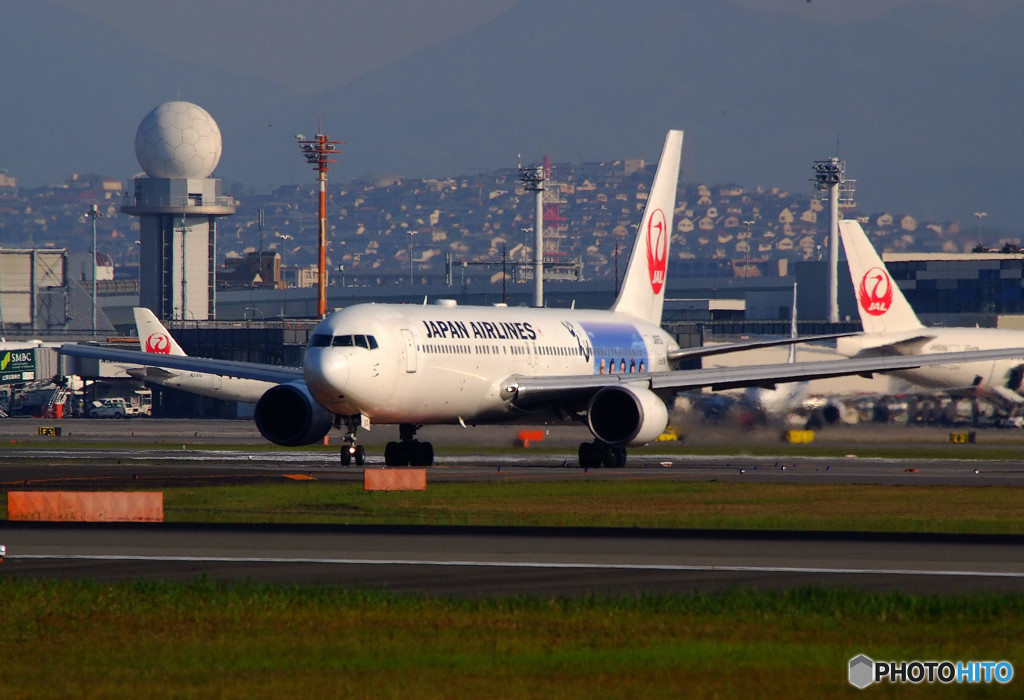 Morning ShowⅦ・西郷どん！