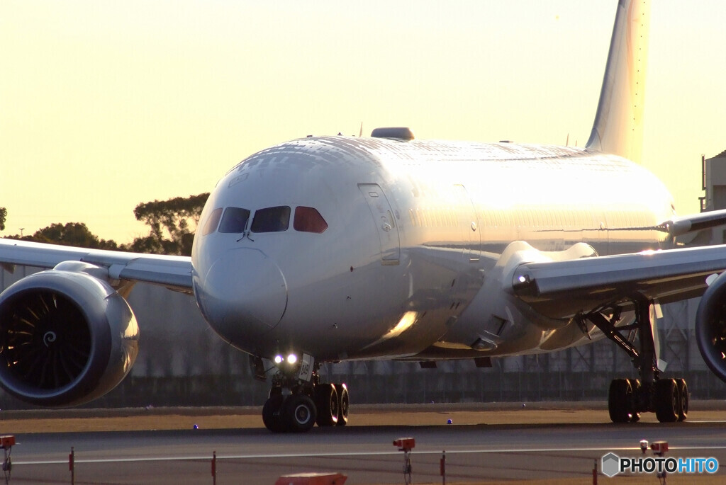 Shining One✈Boeing 787-8