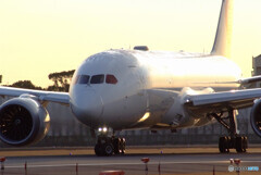 Shining One✈Boeing 787-8