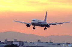 Beautiful MemoriesⅡ✈Boeing 767