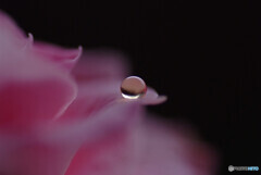 時を越えて・雫