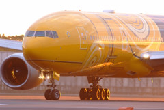 Hero of the morning glow