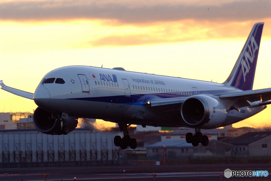 朝日は君に・787