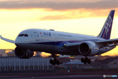 朝日は君に・787