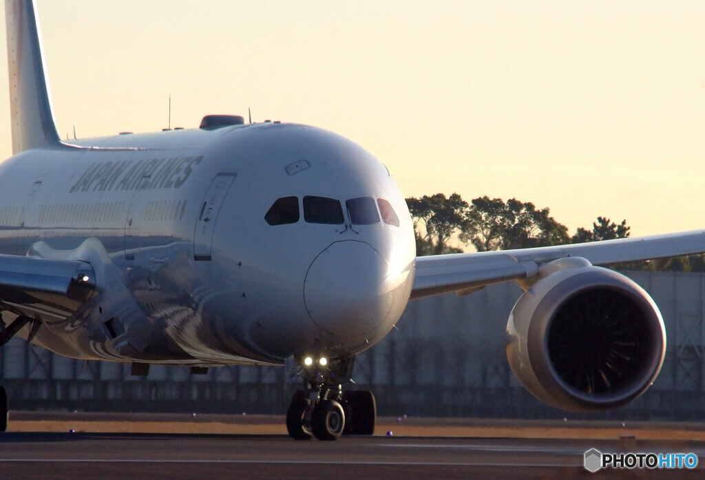 俺の朝✈Dreamliner 