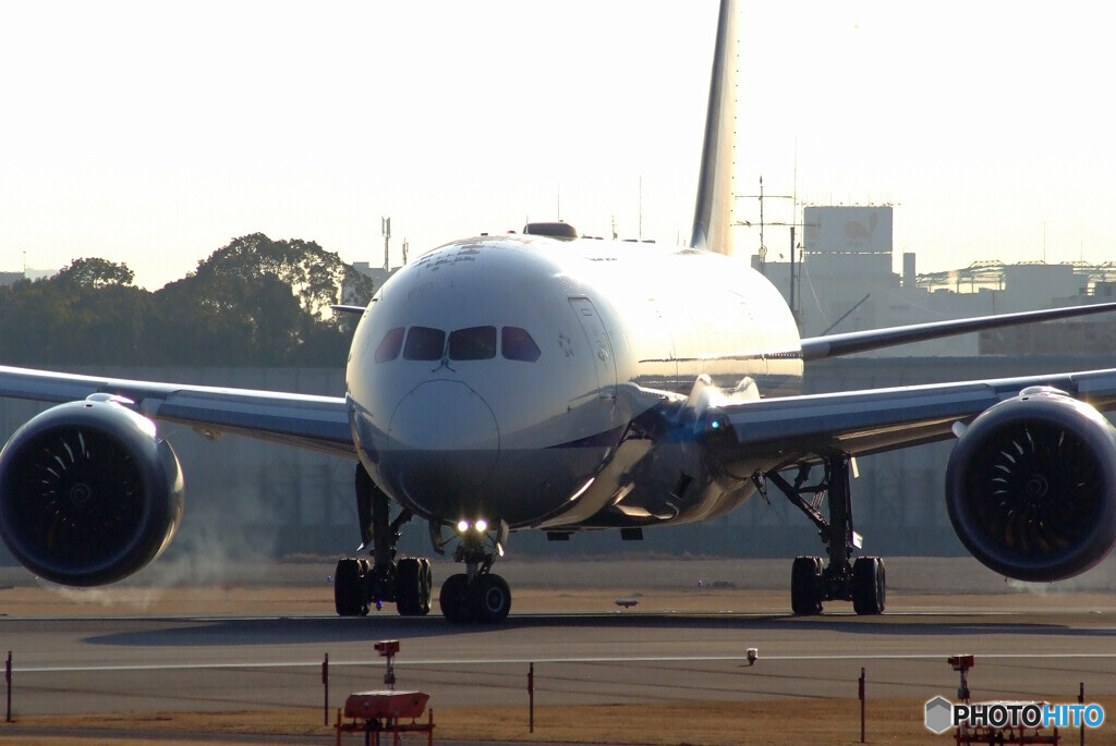 HARADAの朝 Ⅲ✈787-8 Dreamliner